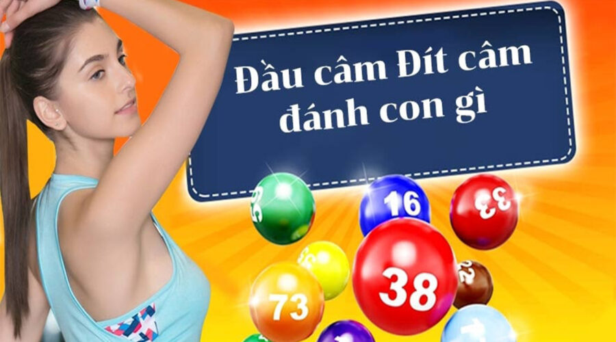 Dự đoán xổ số ngày tết từ lô câm